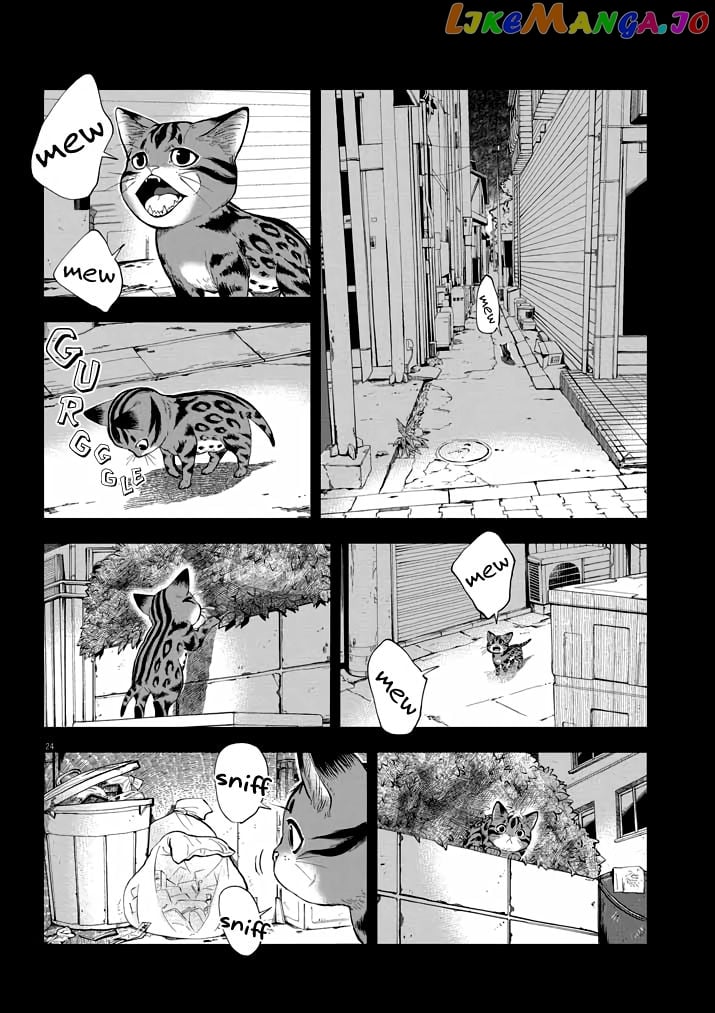 A Cat from Our World and the Forgotten Witch Chapter 2 - page 23