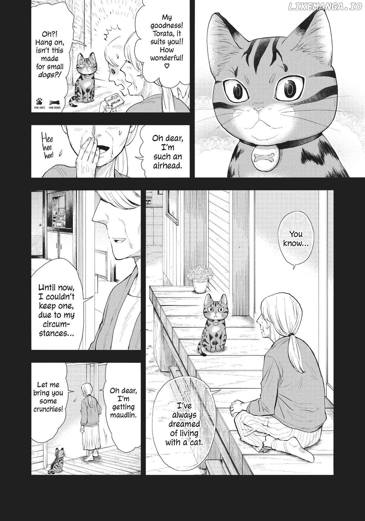 A Cat from Our World and the Forgotten Witch Chapter 6 - page 2