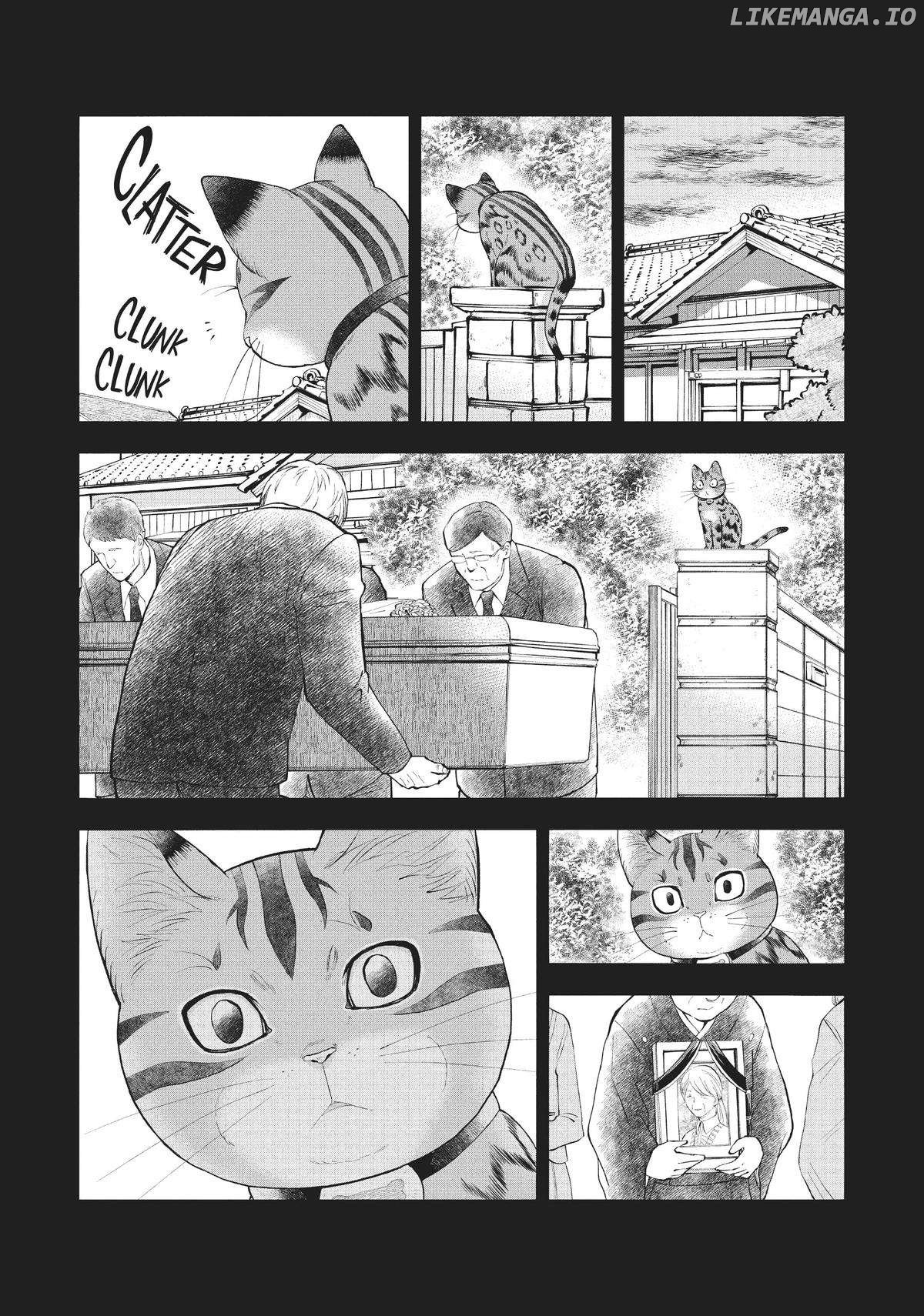 A Cat from Our World and the Forgotten Witch Chapter 6 - page 15