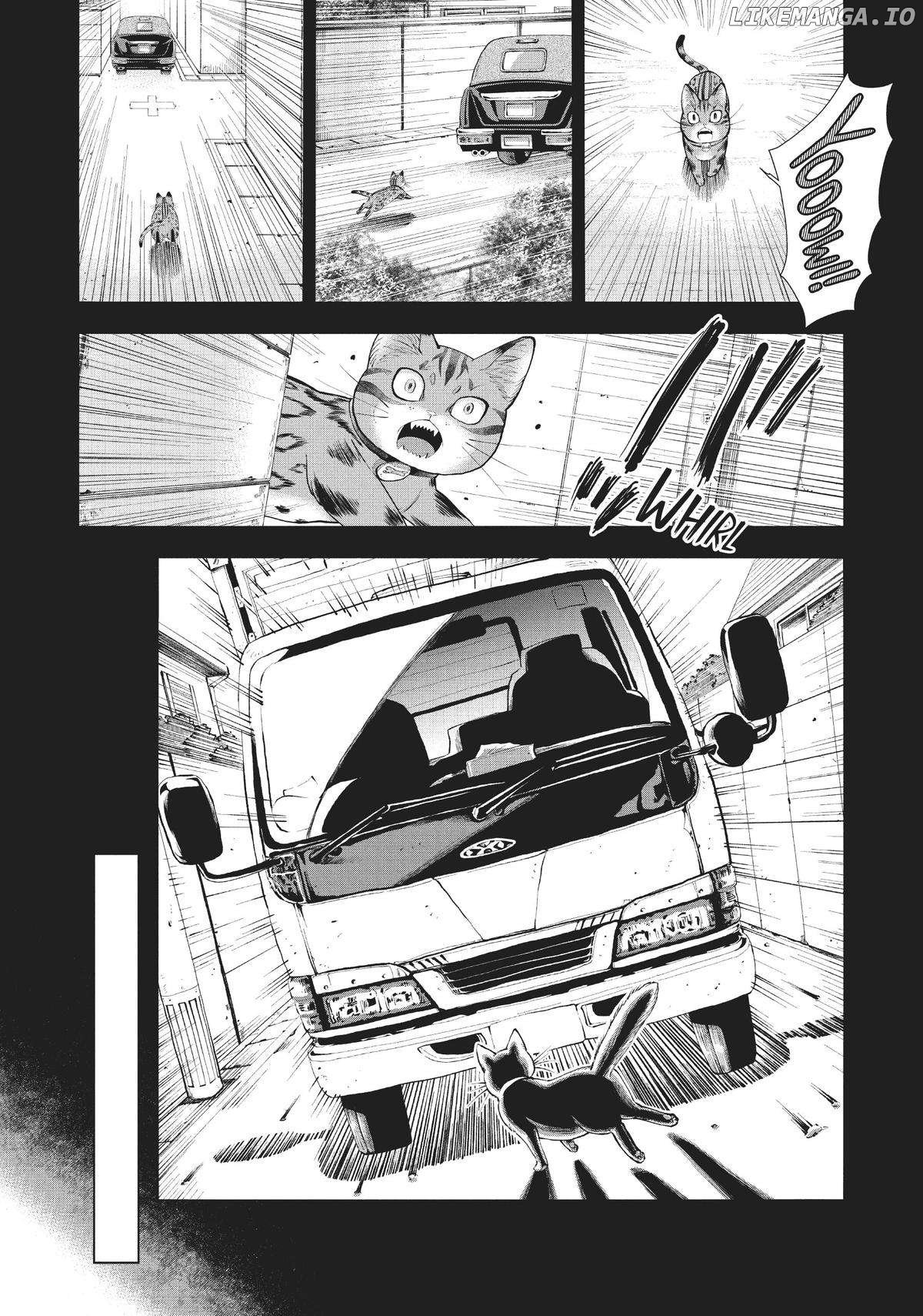 A Cat from Our World and the Forgotten Witch Chapter 6 - page 17