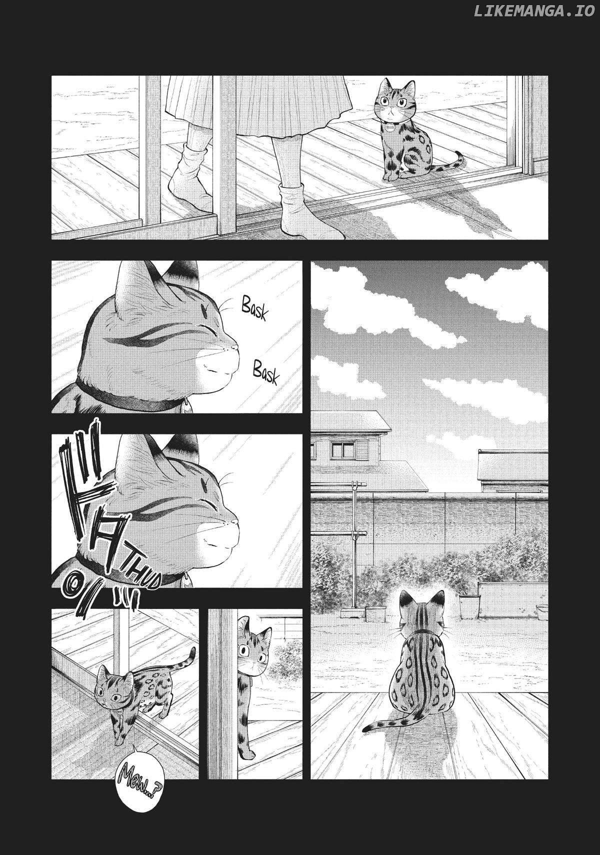 A Cat from Our World and the Forgotten Witch Chapter 6 - page 3