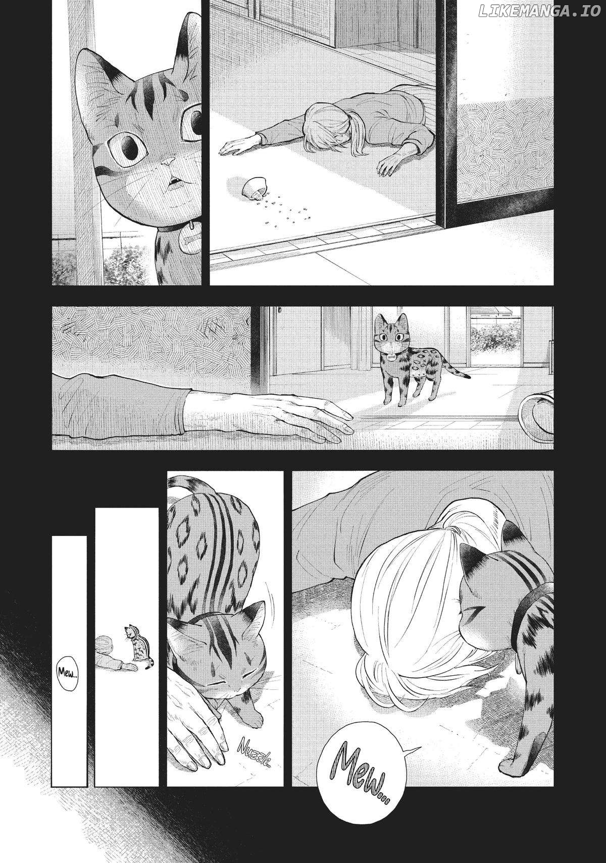 A Cat from Our World and the Forgotten Witch Chapter 6 - page 4