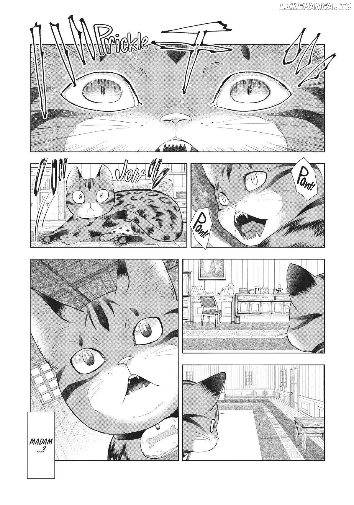 A Cat from Our World and the Forgotten Witch Chapter 6 - page 5