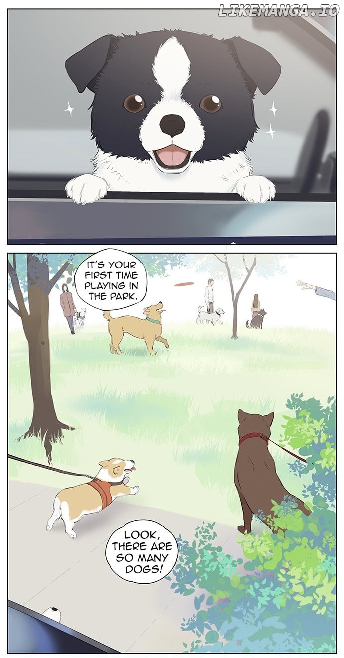 Aman’s Animal Tales chapter 7 - page 1