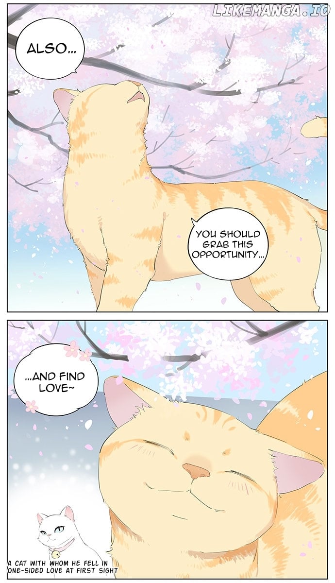 Aman’s Animal Tales chapter 5 - page 3